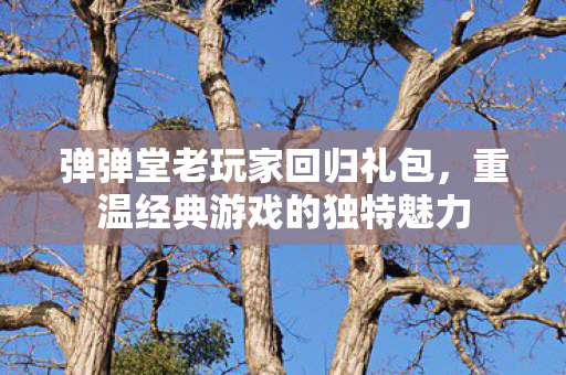 弹弹堂老玩家回归礼包,重温经典游戏的独特魅力 弹弹堂老玩家回归礼包,重温经典游戏的独特魅力