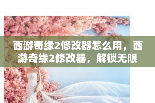 西游奇缘2修改器怎么用，西游奇缘2修改器，解锁无限可能的冒险之旅