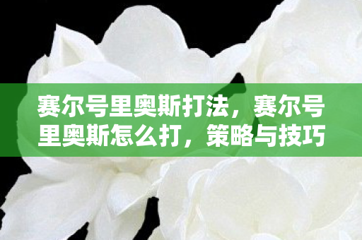 赛尔号里奥斯打法，赛尔号里奥斯怎么打，策略与技巧详解
