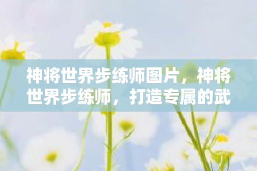 神将世界步练师图片,神将世界步练师,打造专属的武将成长之路 神将世界步练师图片,神将世界步练师,打造专属的武将成长之路