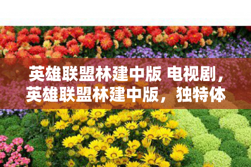 英雄联盟林建中版 电视剧,英雄联盟林建中版,独特体验与社区文化的深度解析 英雄联盟林建中版 电视剧,英雄联盟林建中版,独特体验与社区文化的深度解析