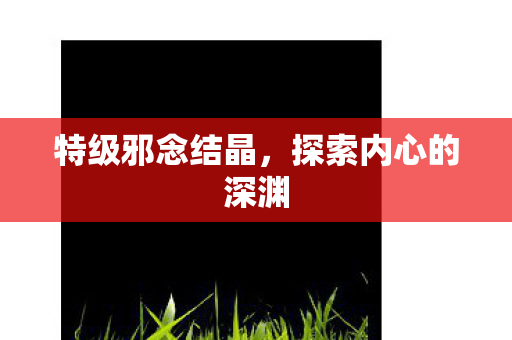 特级邪念结晶，探索内心的深渊