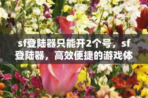 sf登陆器只能开2个号,sf登陆器,高效便捷的游戏体验新选择 sf登陆器只能开2个号,sf登陆器,高效便捷的游戏体验新选择