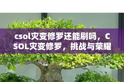csol灾变修罗还能刷吗，CSOL灾变修罗，挑战与荣耀的交织