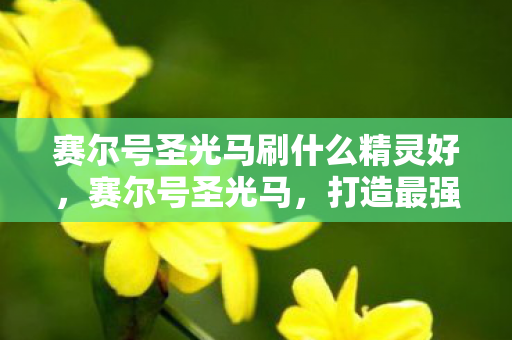赛尔号圣光马刷什么精灵好，赛尔号圣光马，打造最强战斗力的秘密