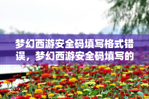 梦幻西游安全码填写格式错误,梦幻西游安全码填写的重要性与注意事项 梦幻西游安全码填写格式错误,梦幻西游安全码填写的重要性与注意事项