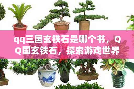 qq三国玄铁石是哪个书,QQ国玄铁石,探索游戏世界的神秘矿石 qq三国玄铁石是哪个书,QQ国玄铁石,探索游戏世界的神秘矿石