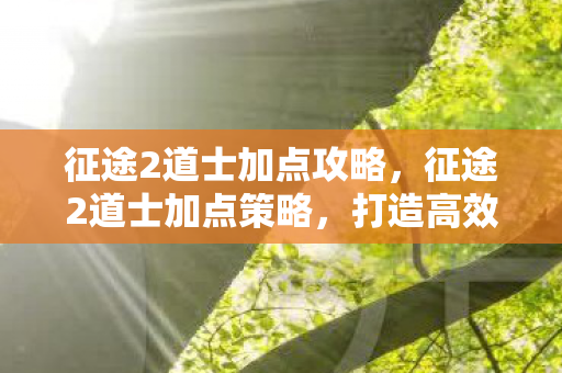 征途2道士加点攻略，征途2道士加点策略，打造高效战斗道士