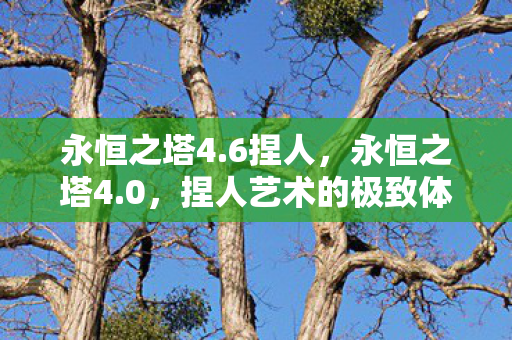永恒之塔4.6捏人，永恒之塔4.0，捏人艺术的极致体验