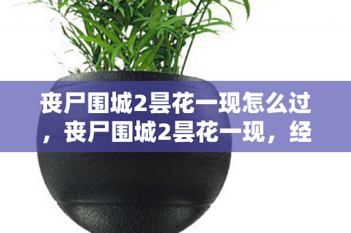丧尸围城2昙花一现怎么过，丧尸围城2昙花一现，经典游戏的短暂辉煌与遗憾