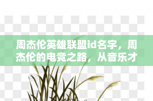 周杰伦英雄联盟id名字，周杰伦的电竞之路，从音乐才子到英雄联盟的顶尖玩家