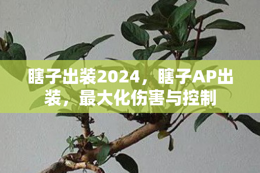 瞎子出装2024，瞎子AP出装，最大化伤害与控制