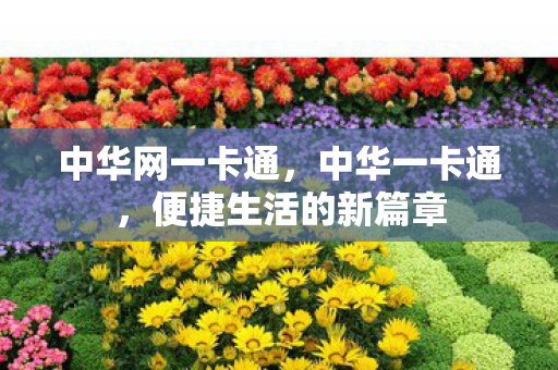 中华网一卡通，中华一卡通，便捷生活的新篇章