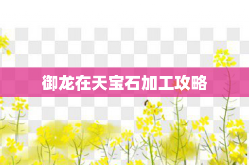 御龙在天宝石加工攻略