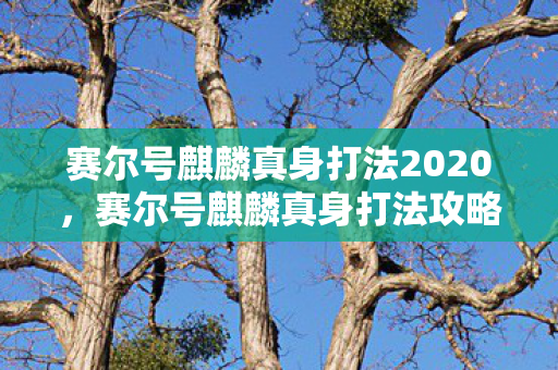 赛尔号麒麟真身打法2020，赛尔号麒麟真身打法攻略