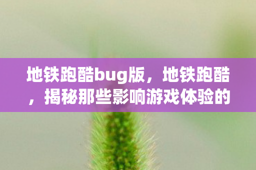 地铁跑酷bug版，地铁跑酷，揭秘那些影响游戏体验的bug