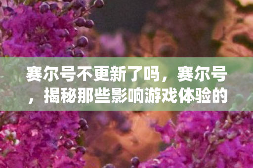 赛尔号不更新了吗，赛尔号，揭秘那些影响游戏体验的bug