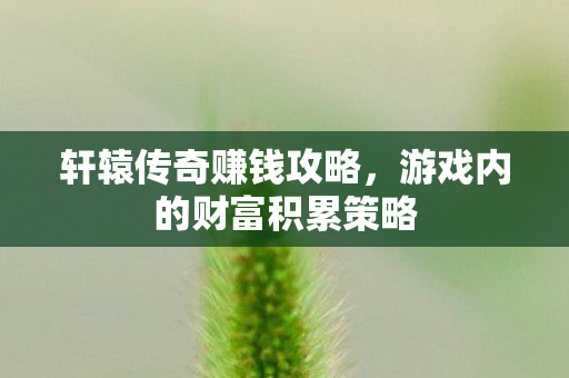 轩辕传奇赚钱攻略，游戏内的财富积累策略