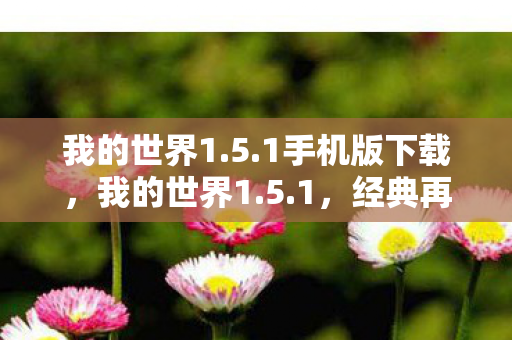 我的世界1.5.1手机版下载，我的世界1.5.1，经典再现，探索无限可能