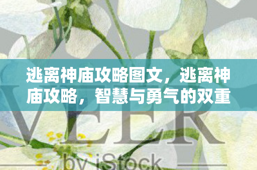 逃离神庙攻略图文，逃离神庙攻略，智慧与勇气的双重考验