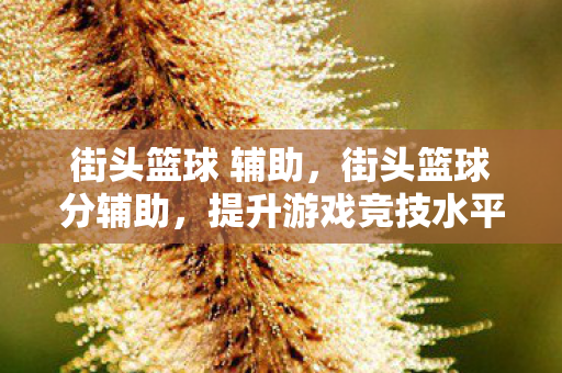 街头篮球 辅助，街头篮球分辅助，提升游戏竞技水平的神器