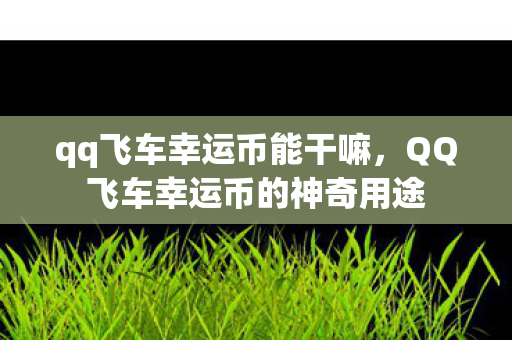 qq飞车幸运币能干嘛，QQ飞车幸运币的神奇用途