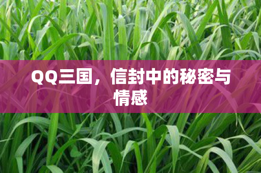 QQ三国,信封中的秘密与情感 QQ三国,信封中的秘密与情感