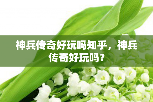 神兵传奇好玩吗知乎，神兵传奇好玩吗？
