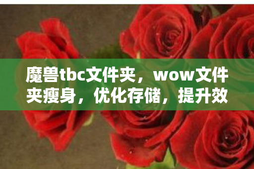 魔兽tbc文件夹,wow文件夹瘦身,优化存储,提升效率 魔兽tbc文件夹,wow文件夹瘦身,优化存储,提升效率