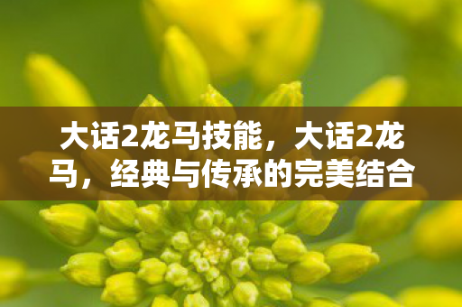 大话2龙马技能，大话2龙马，经典与传承的完美结合