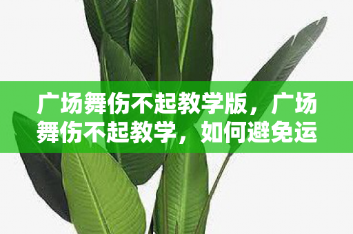 广场舞伤不起教学版，广场舞伤不起教学，如何避免运动伤害，享受舞蹈乐趣