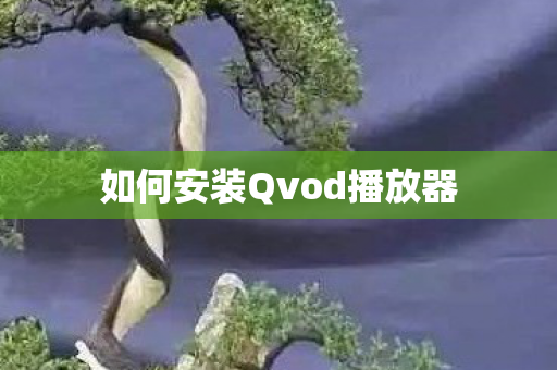 如何安装Qvod播放器 如何安装Qvod播放器