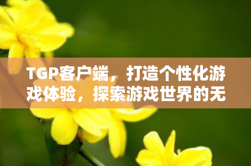 TGP客户端，打造个性化游戏体验，探索游戏世界的无限可能