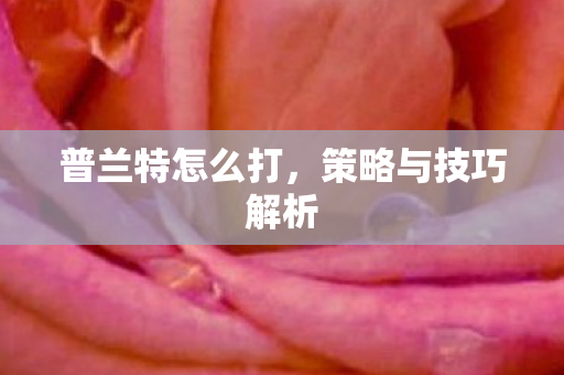 普兰特怎么打,策略与技巧解析 普兰特怎么打,策略与技巧解析