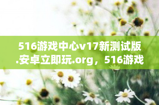 516游戏中心v17新测试版.安卓立即玩.org，516游戏，探索虚拟世界的奇妙之旅