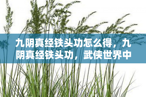 九阴真经铁头功怎么得，九阴真经铁头功，武侠世界中的硬派修炼之道
