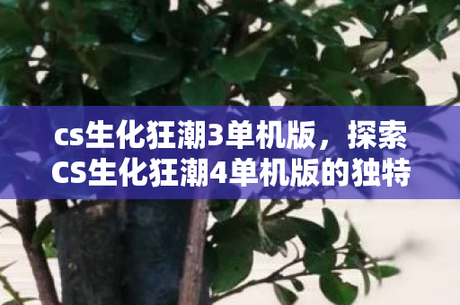 cs生化狂潮3单机版,探索CS生化狂潮4单机版的独特魅力 cs生化狂潮3单机版,探索CS生化狂潮4单机版的独特魅力