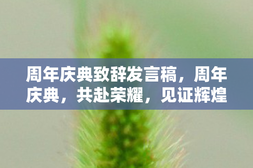 周年庆典致辞发言稿,周年庆典,共赴荣耀,见证辉煌时刻 周年庆典致辞发言稿,周年庆典,共赴荣耀,见证辉煌时刻