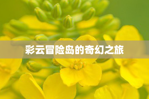 彩云冒险岛的奇幻之旅 彩云冒险岛的奇幻之旅