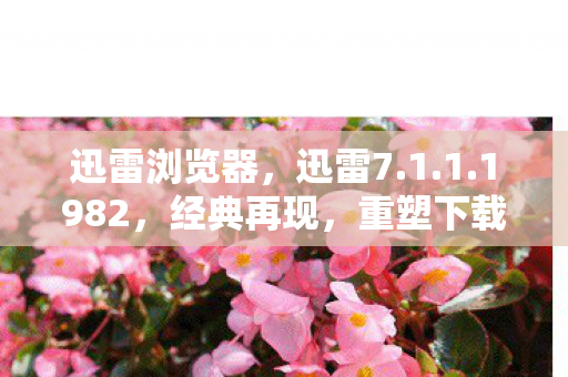 迅雷浏览器，迅雷7.1.1.1982，经典再现，重塑下载新体验