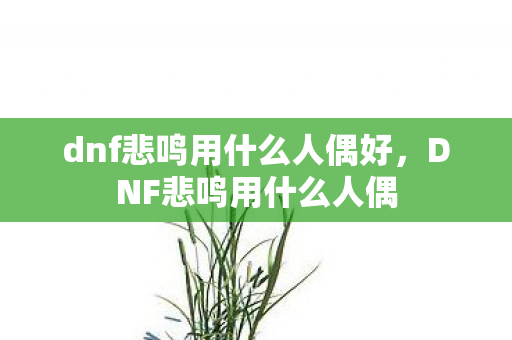 dnf悲鸣用什么人偶好，DNF悲鸣用什么人偶