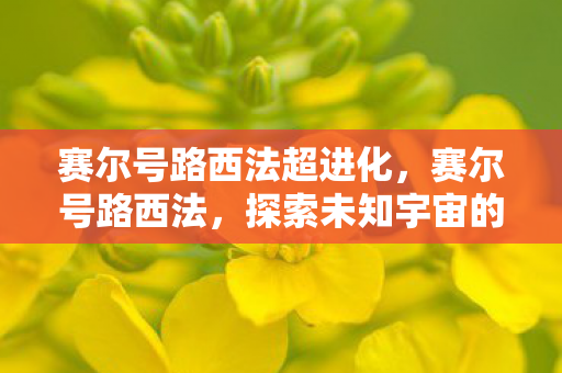 赛尔号路西法超进化，赛尔号路西法，探索未知宇宙的神秘之旅