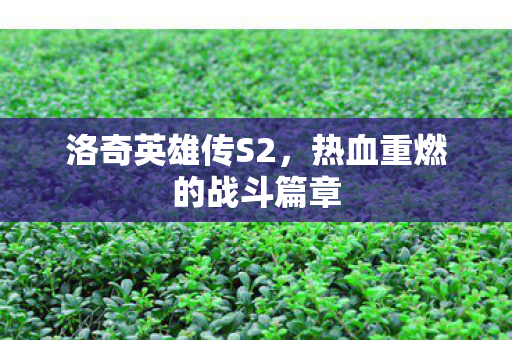 洛奇英雄传S2,热血重燃的战斗篇章 洛奇英雄传S2,热血重燃的战斗篇章