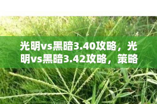 光明vs黑暗3.40攻略，光明vs黑暗3.42攻略，策略与技巧的深度剖析