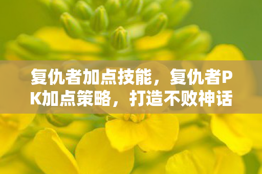 复仇者加点技能，复仇者PK加点策略，打造不败神话