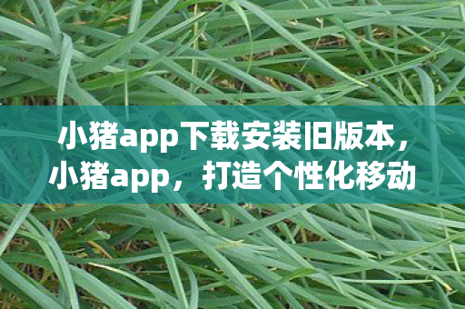 小猪app下载安装旧版本,小猪app,打造个性化移动生活新体验 小猪app下载安装旧版本,小猪app,打造个性化移动生活新体验