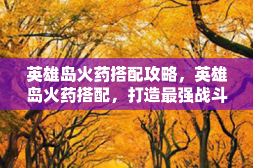英雄岛火药搭配攻略,英雄岛火药搭配,打造最强战斗力的秘密 英雄岛火药搭配攻略,英雄岛火药搭配,打造最强战斗力的秘密