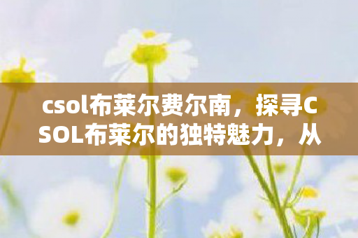 csol布莱尔费尔南,探寻CSOL布莱尔的独特魅力,从经典到创新的转变 csol布莱尔费尔南,探寻CSOL布莱尔的独特魅力,从经典到创新的转变