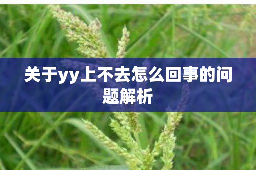 关于yy上不去怎么回事的问题解析 关于yy上不去怎么回事的问题解析