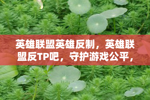 英雄联盟英雄反制,英雄联盟反TP吧,守护游戏公平,打击非法行为 英雄联盟英雄反制,英雄联盟反TP吧,守护游戏公平,打击非法行为